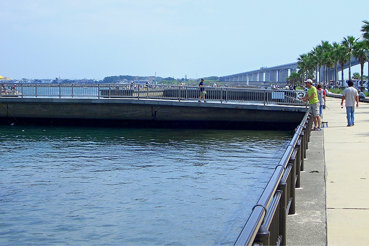 新居弁天海釣公園｜イメージ